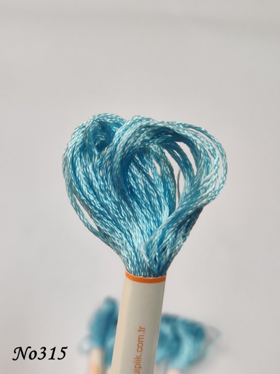 315 (DMC519) (1) (Medium)